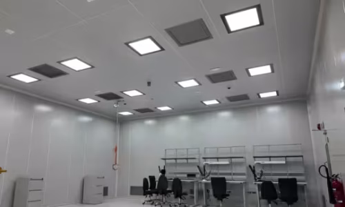 Satellite